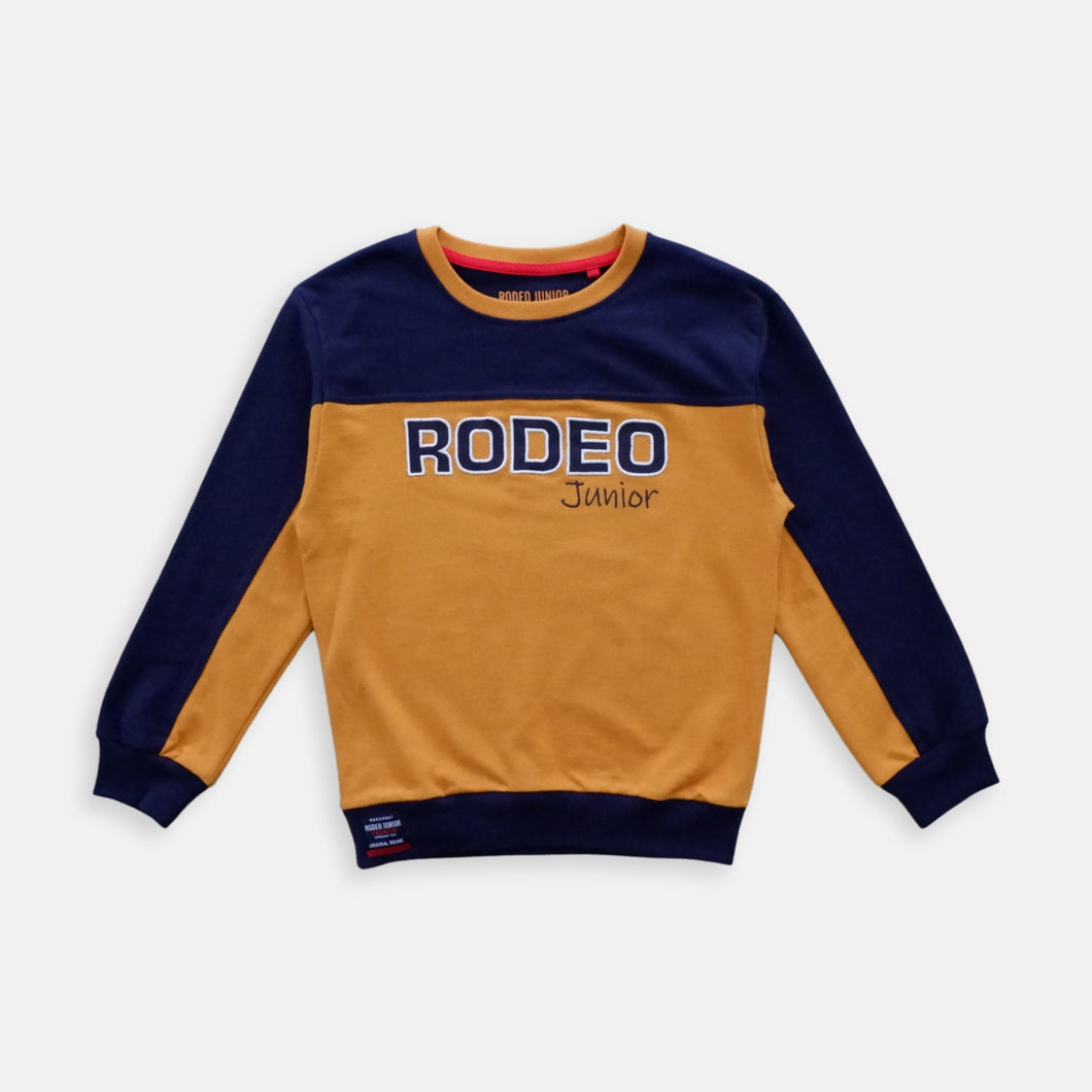 Sweater Anak Laki/ Rodeo Junior Yellow Navy Sweater