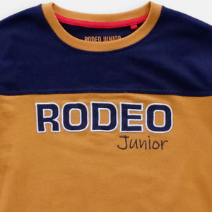 Sweater Anak Laki/ Rodeo Junior Yellow Navy Sweater